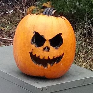 Meet your Posher, Jerry